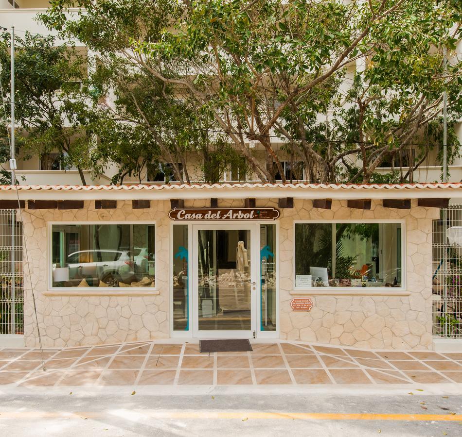 Condo Casa Del Arbol Playa del Carmen Oda fotoğraf