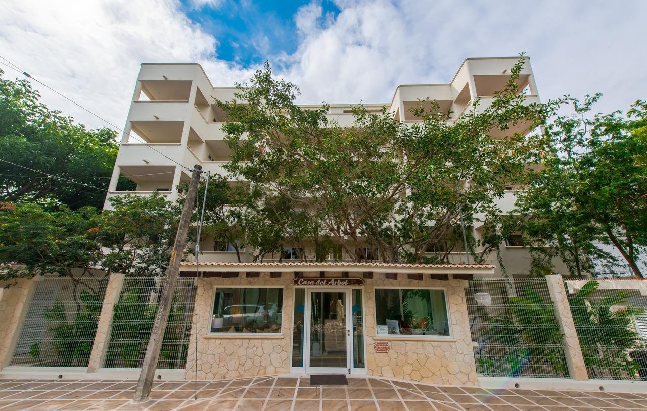 Condo Casa Del Arbol Playa del Carmen Oda fotoğraf