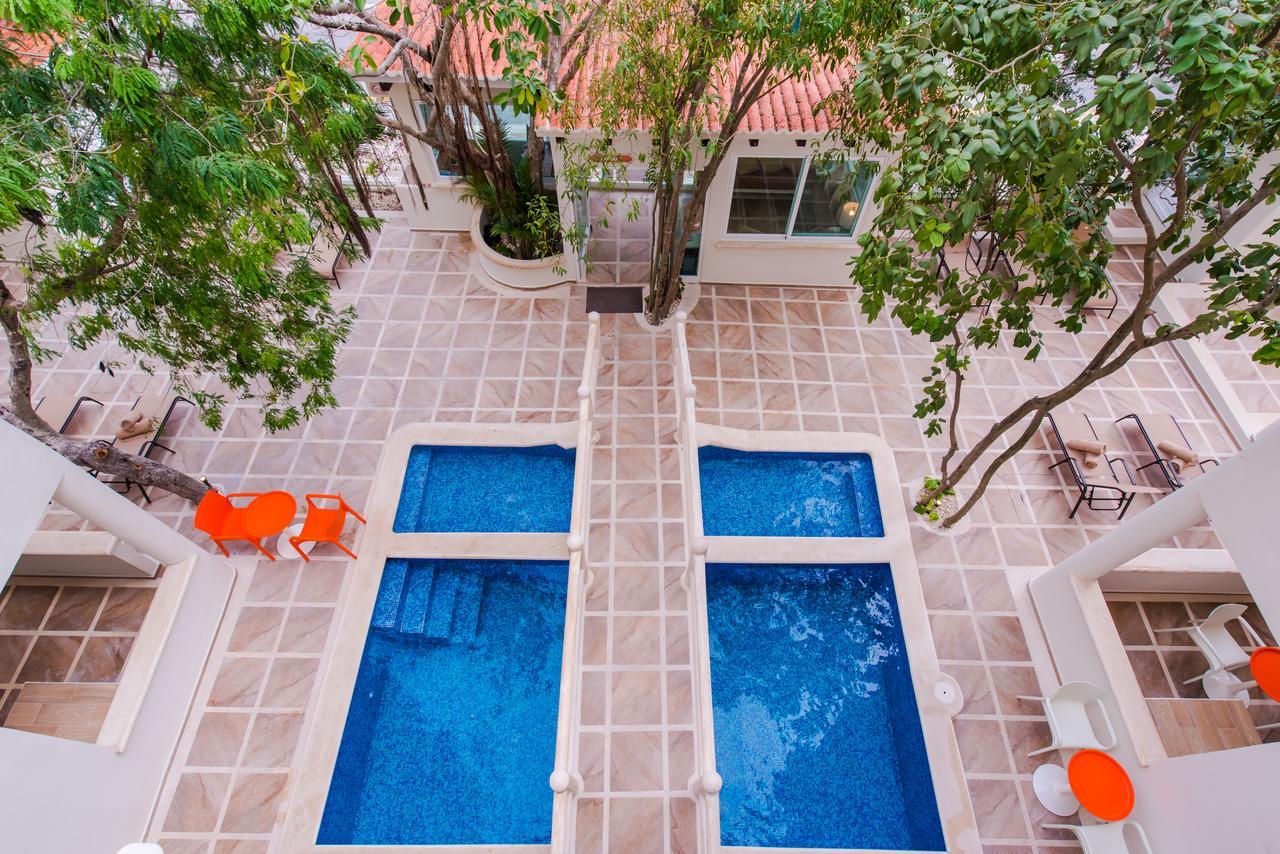 Condo Casa Del Arbol Playa del Carmen Oda fotoğraf