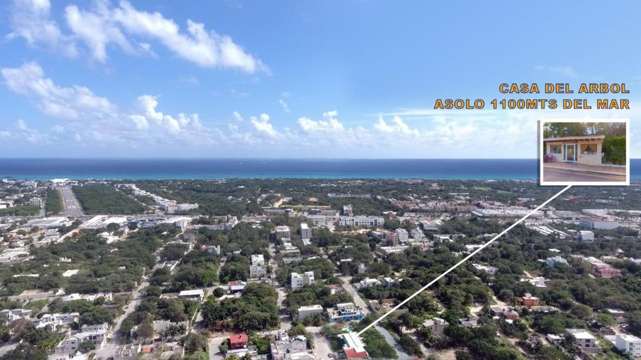 Condo Casa Del Arbol Playa del Carmen Dış mekan fotoğraf